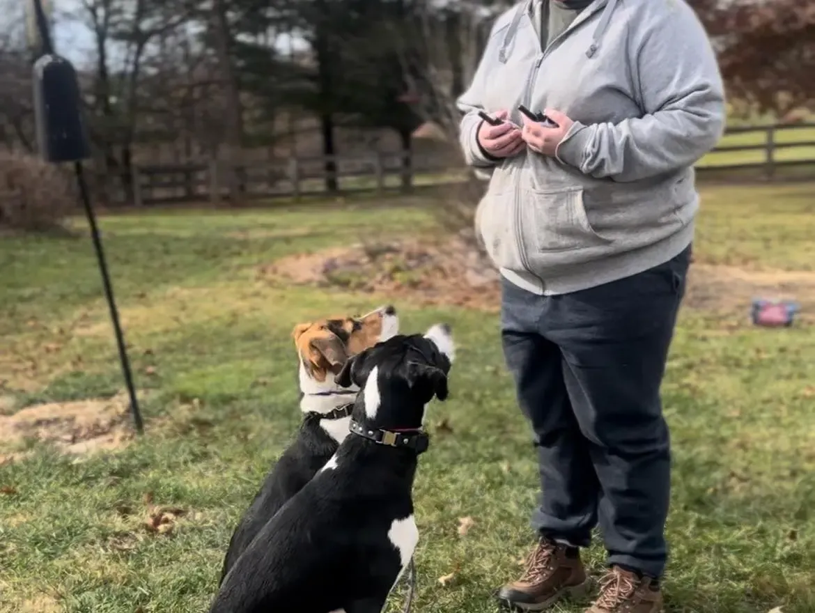 Owner Coaching
