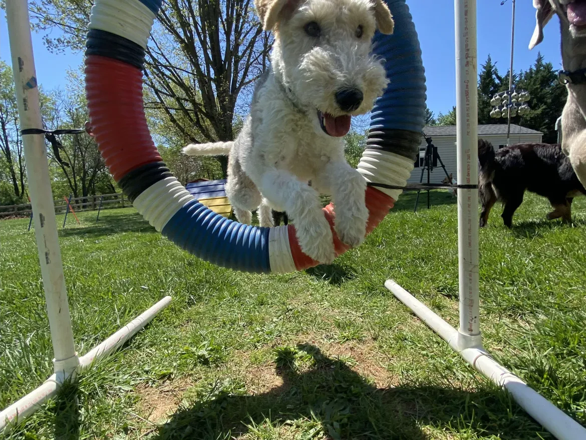 Sport Training